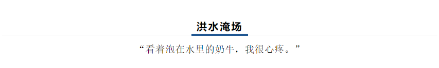 【乳報·聚焦】“豫”難而上的中原牛人“太中了”！