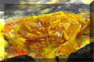 2017年沃斯托克將鈾礦開采量減少17％ 鈾礦開采量減少20％