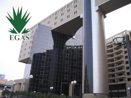 埃及宣布在27個行業(yè)舉辦兩次世界石油和天然氣勘探招標