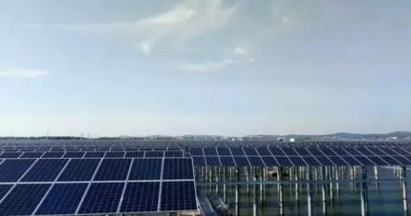 晶澳海外業務增長迅速 巴西、馬來西亞光伏電站均采用其高效單晶PERC組件