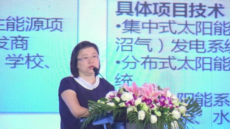 彭凌：深耕綠色金融能效市場，助力全球氣候治理