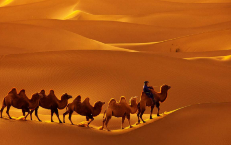 全國(guó)首座菲涅爾式太陽能光熱發(fā)電示范電站在敦煌開建