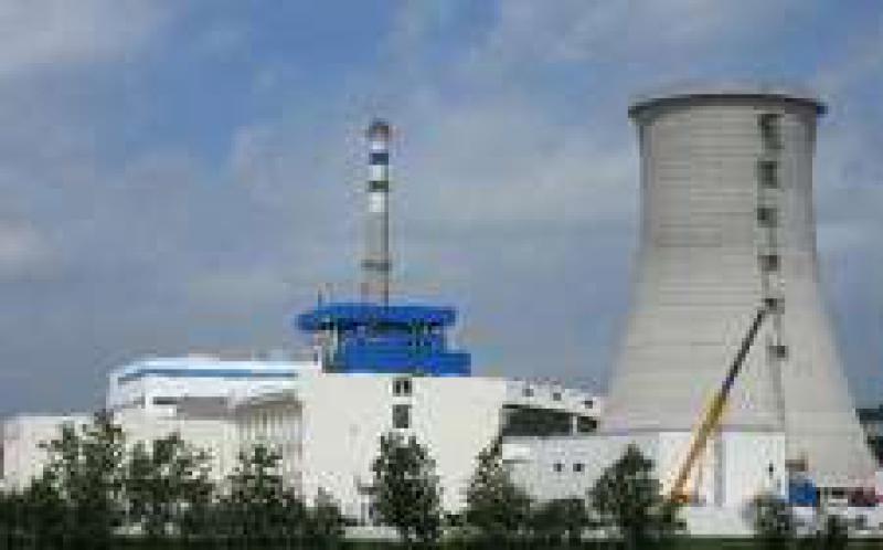 中國能建安徽電建一公司承建的安徽天長生物質(zhì)發(fā)電機組成功并網(wǎng)