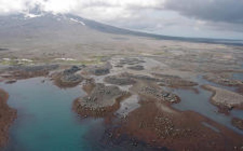 阿拉斯加州尋求土地提名以進(jìn)行潛在的地?zé)嶙赓U銷(xiāo)售