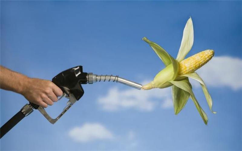 國(guó)務(wù)院常務(wù)會(huì)議確定生物燃料乙醇產(chǎn)業(yè)總體布局