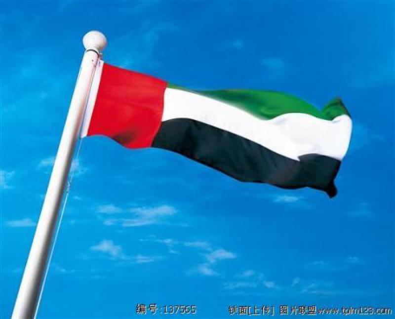 阿聯酋將在能源、水電及交通部門將投資1.3萬億迪拉姆