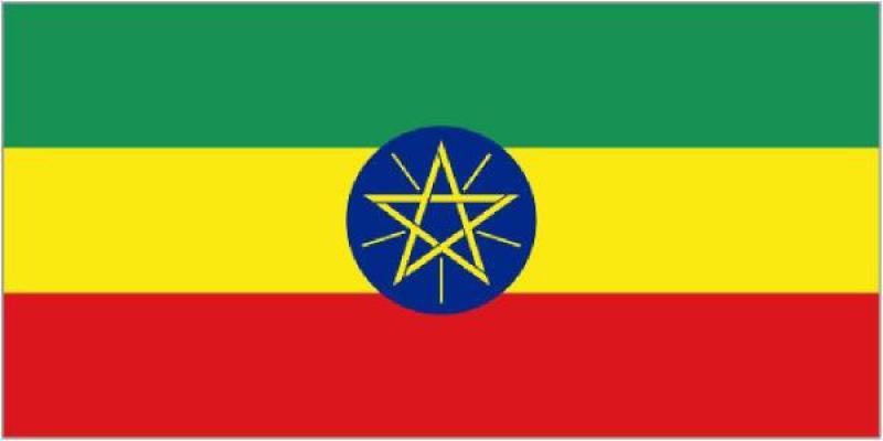 埃塞俄比亞能源概況：生物質(zhì)及最佳實(shí)踐案例