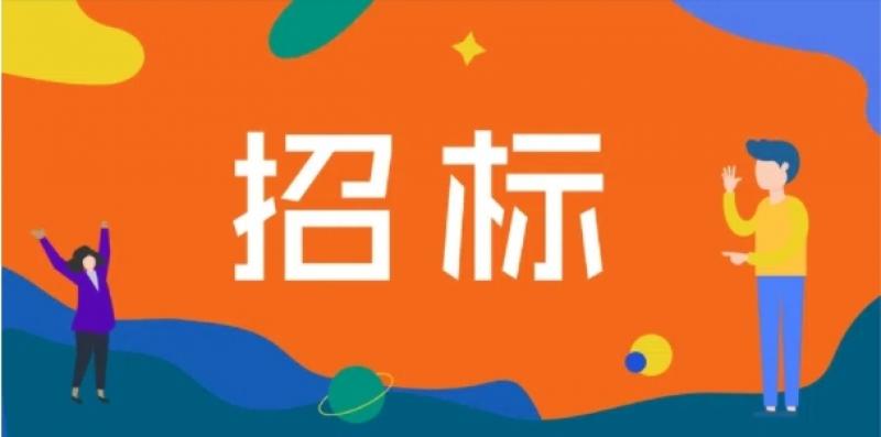新疆電力國家能源集團新疆吉林臺水電開發有限公司SLKT水電站泄水渠除險加固工程招標