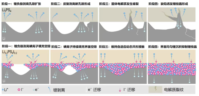 全固態(tài)電池界面技術(shù)取得突破
