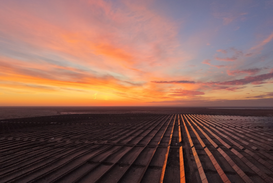 上海申能(集團)有限公司走出去建設的單期容量最大光伏項目竣工