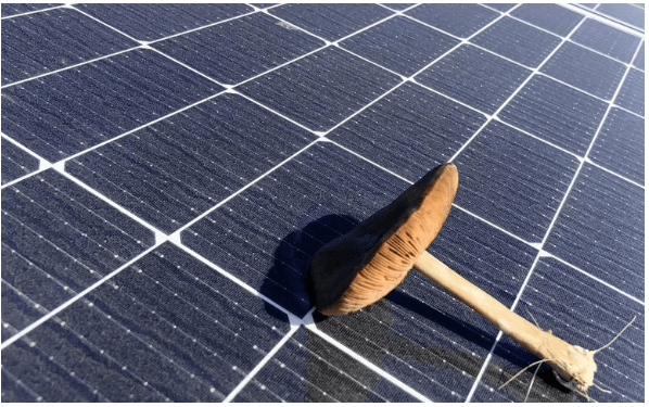 房地產集團在加州規劃700兆瓦太陽能園區與電池儲能項目