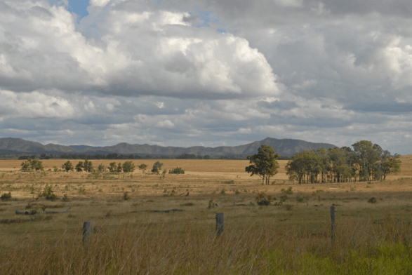 昆士蘭州開(kāi)放塔魯姆海槽石油勘探 或成澳大利亞50年來(lái)首個(gè)新產(chǎn)區(qū)