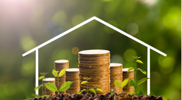 尼日利亞中小企業可再生能源保險推出 助力清潔能源轉型