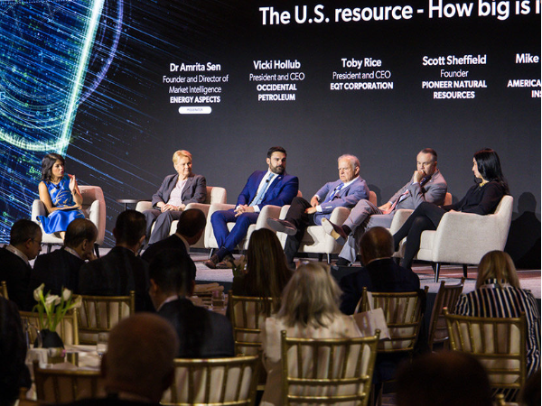 勞拉·斯韋特呼吁推進能源許可改革，禁止州否決天然氣管道許可